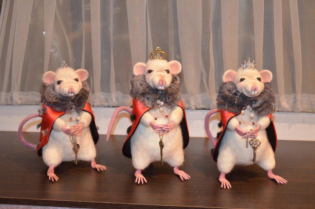 Крыски подружки