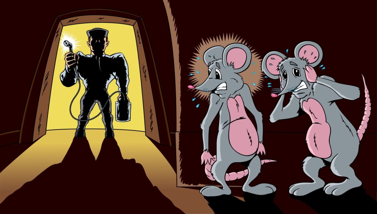 Дератизация прикол