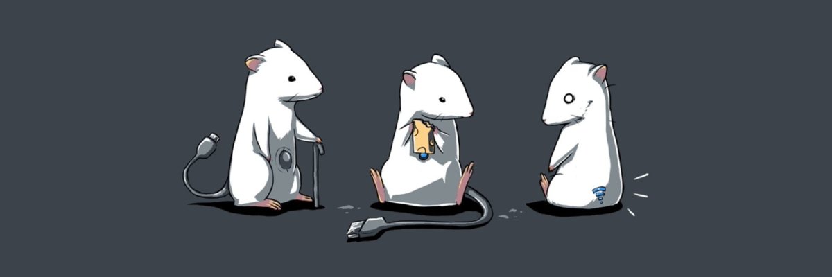 Крыса Минимализм