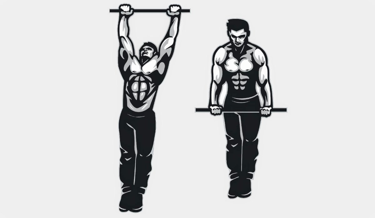 Подтягивания арт