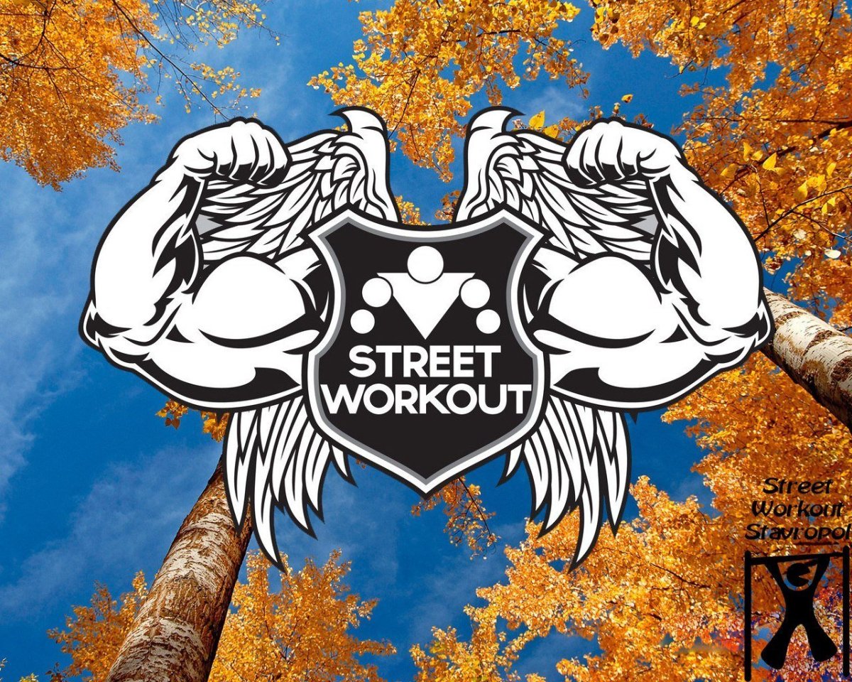 Стрит воркаут