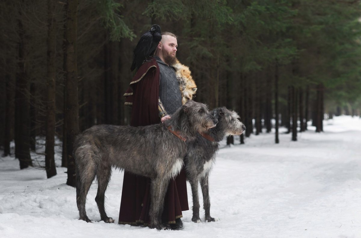 Волкособ Юки