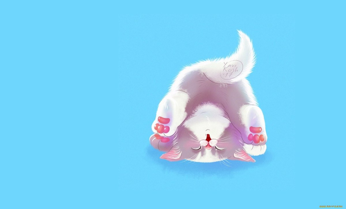 Милые котики на синем фоне