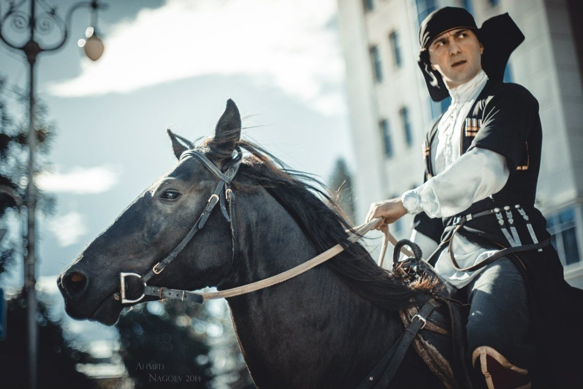 Черкесская лошадь