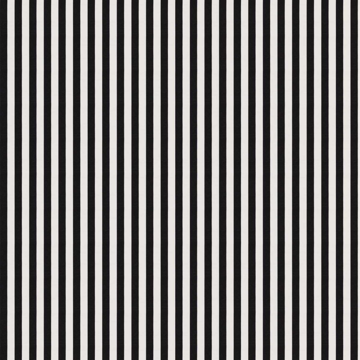 Полосатый фон черно белый