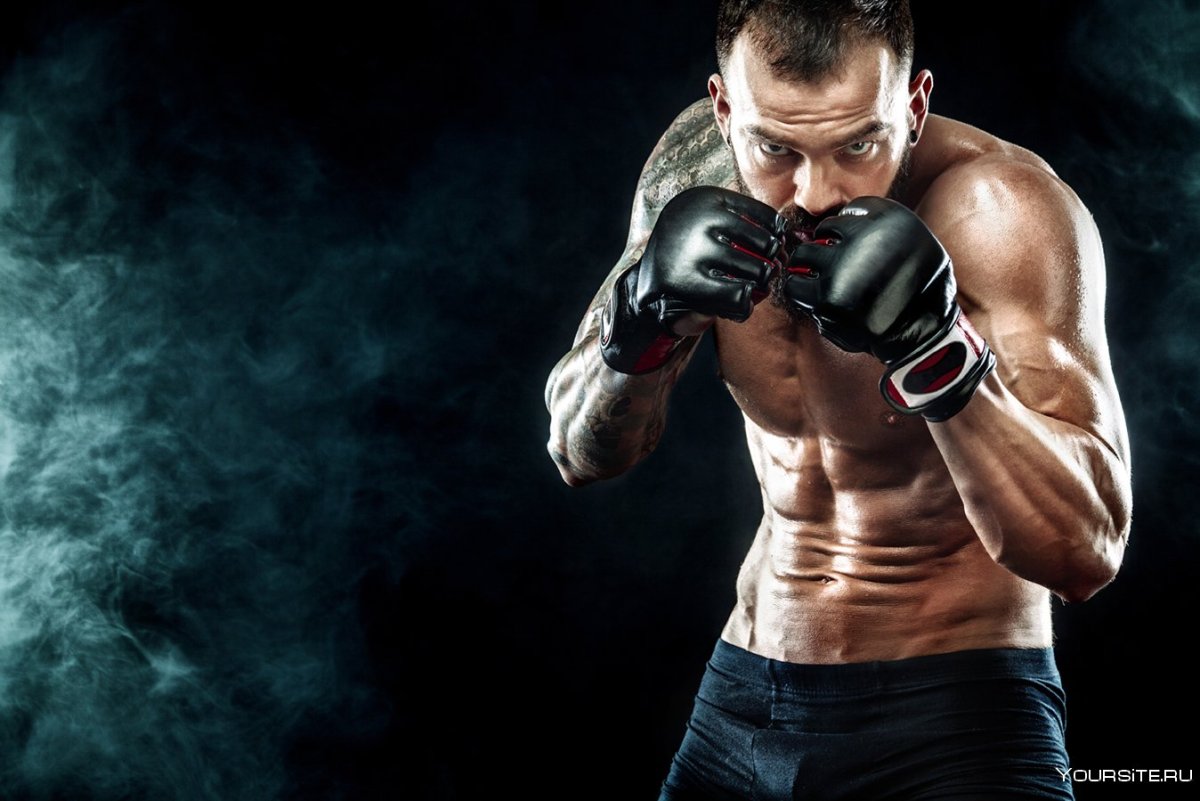 Боксер на темном фоне