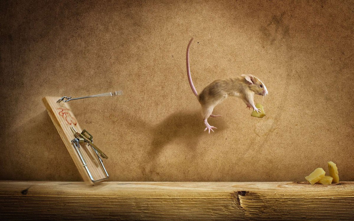 Креативный рабочий стол