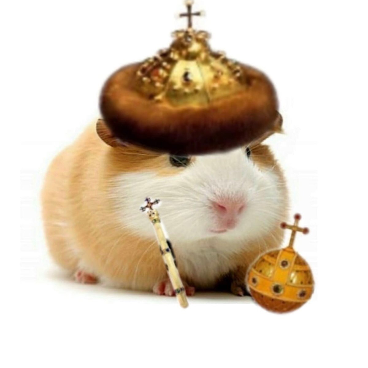 Хомячий Бог