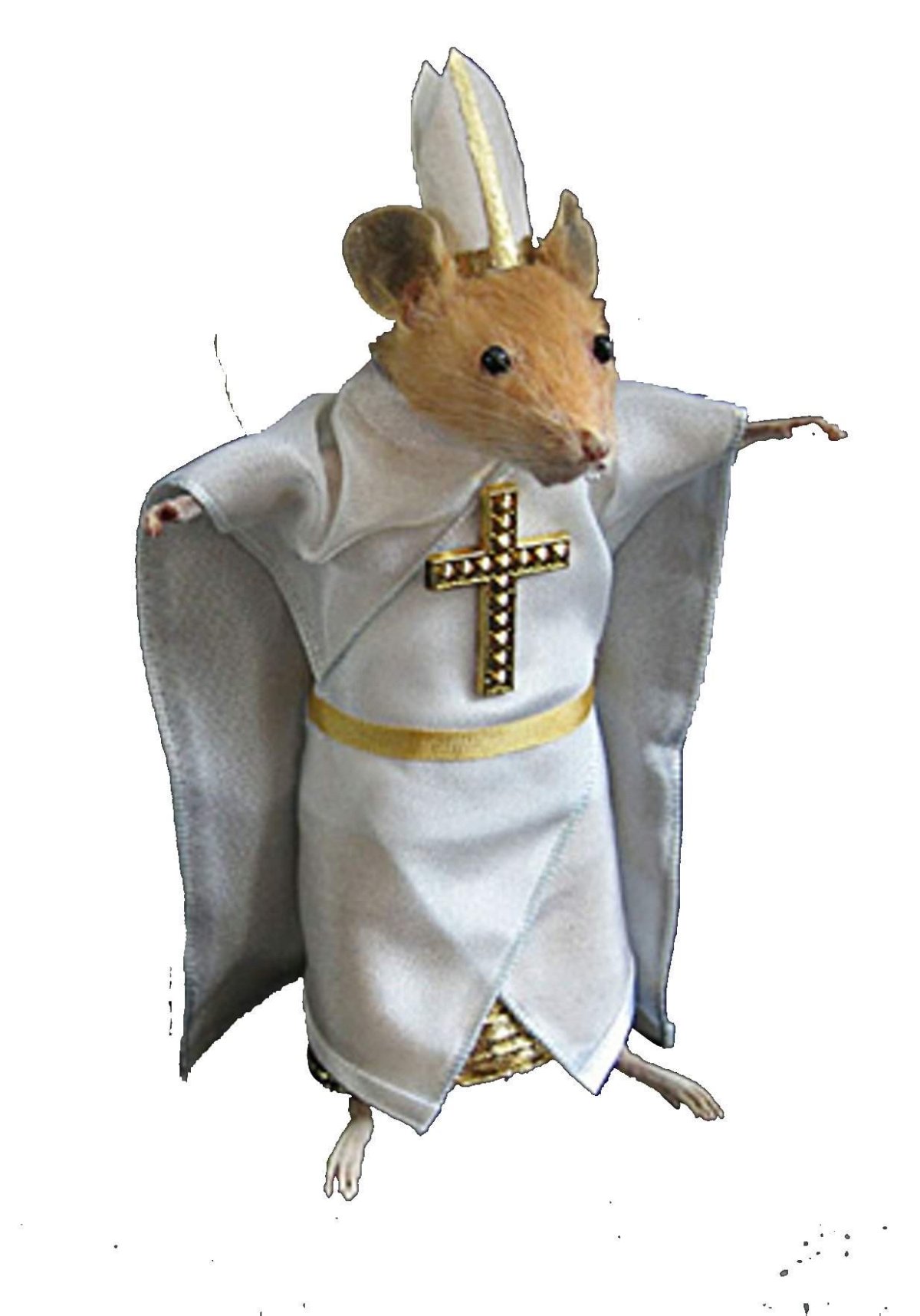 Портрет крысы