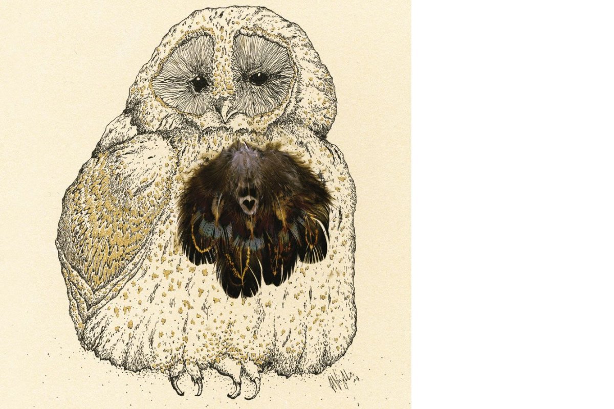 Сова и медведь