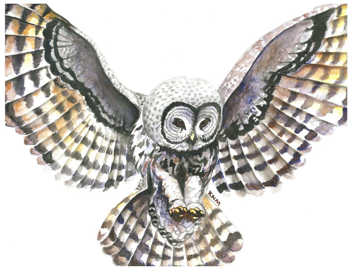 Закладка Сова