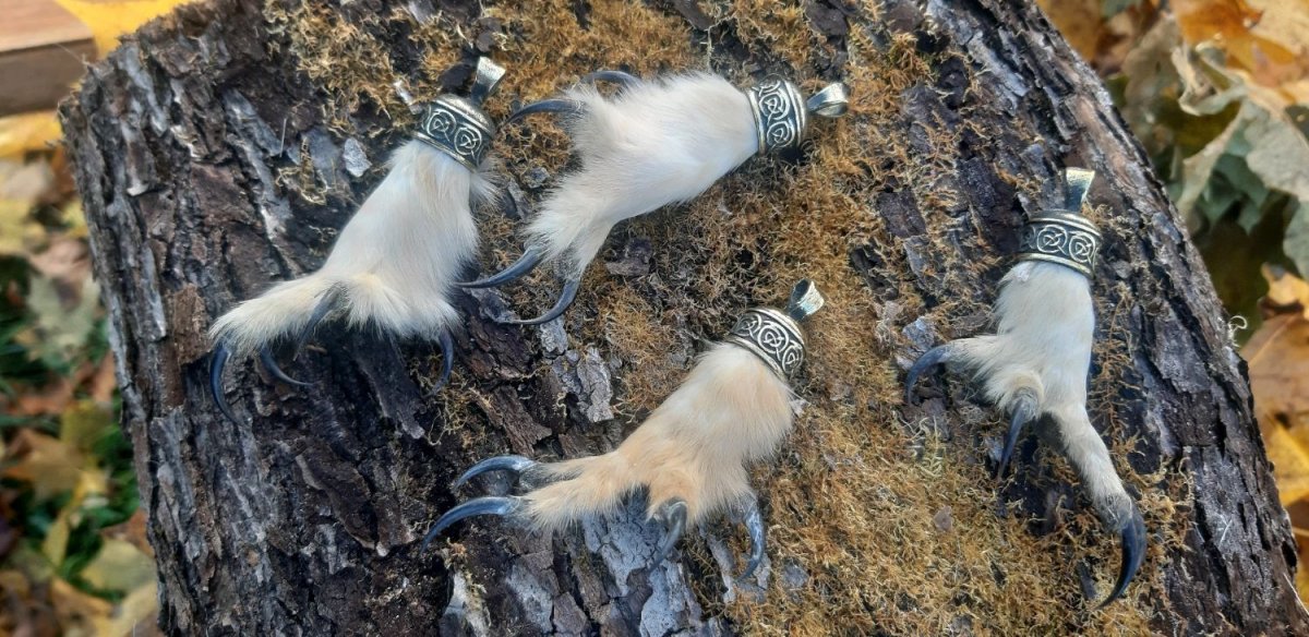 Сова хищная птица