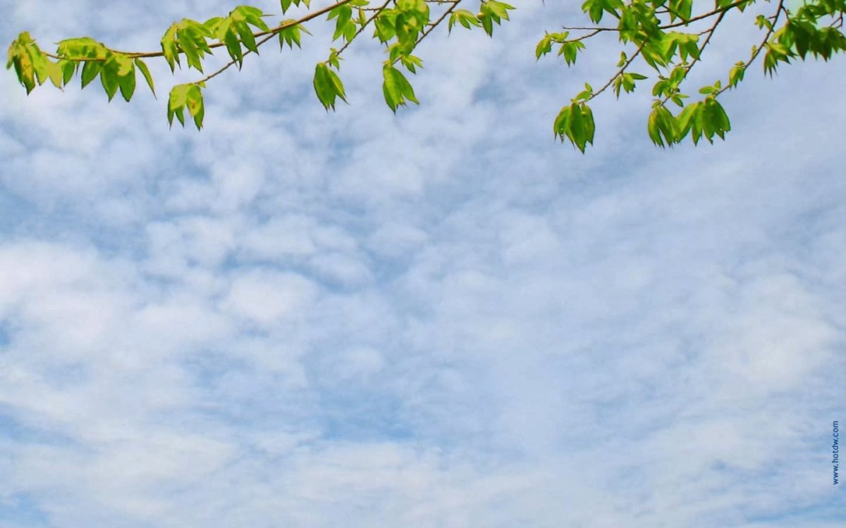 Слайд для презентации природа