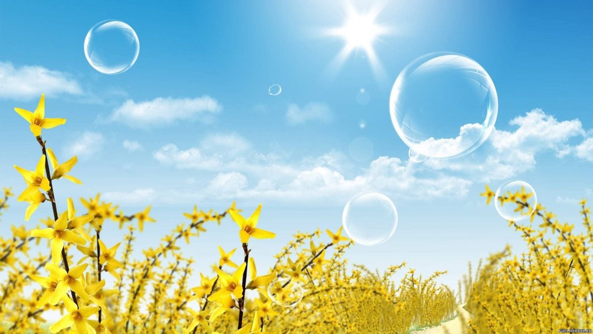 Природа солнце