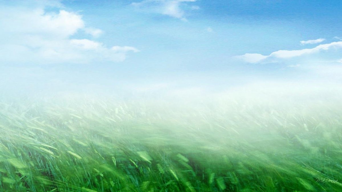 Фон для презентации ветер