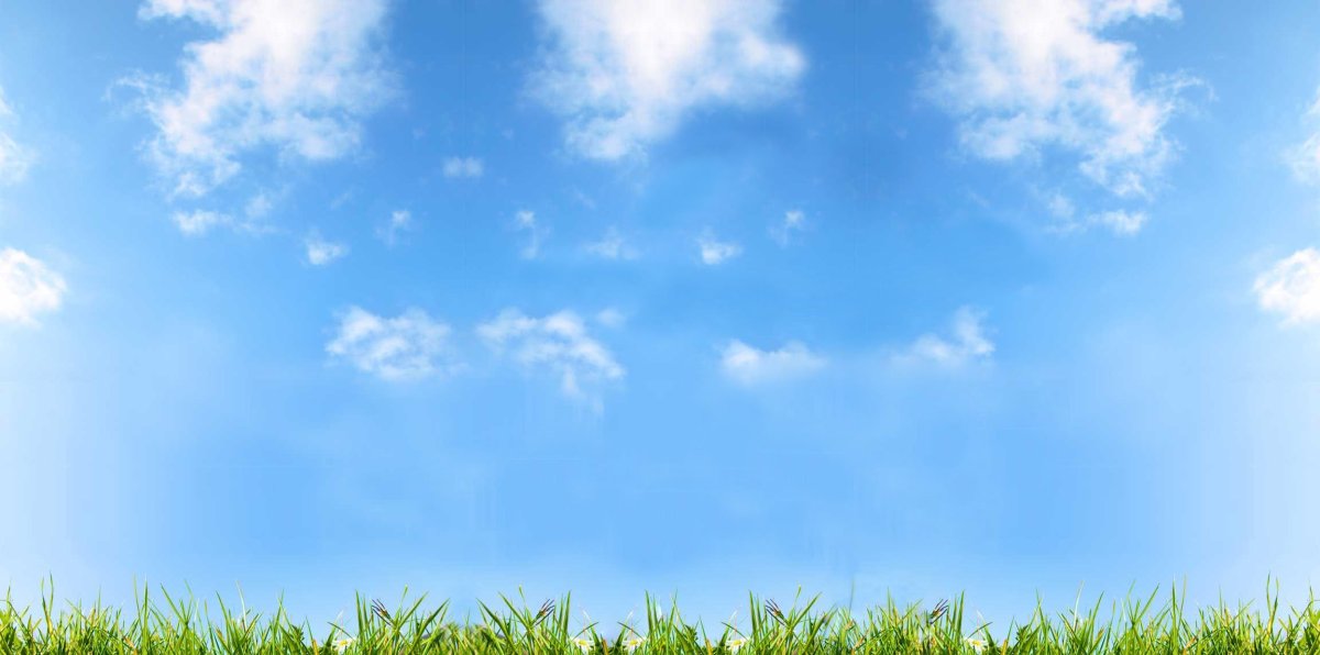 Фон трава и небо