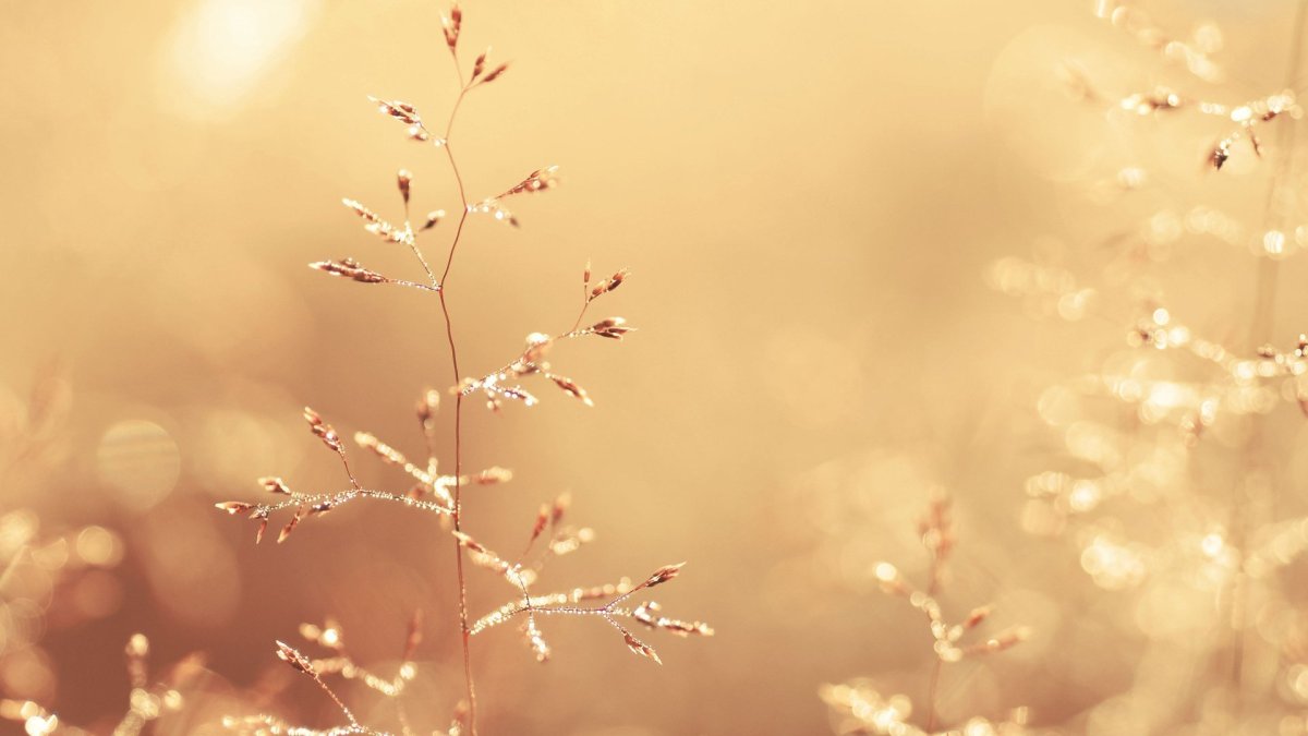 Пастельный фон