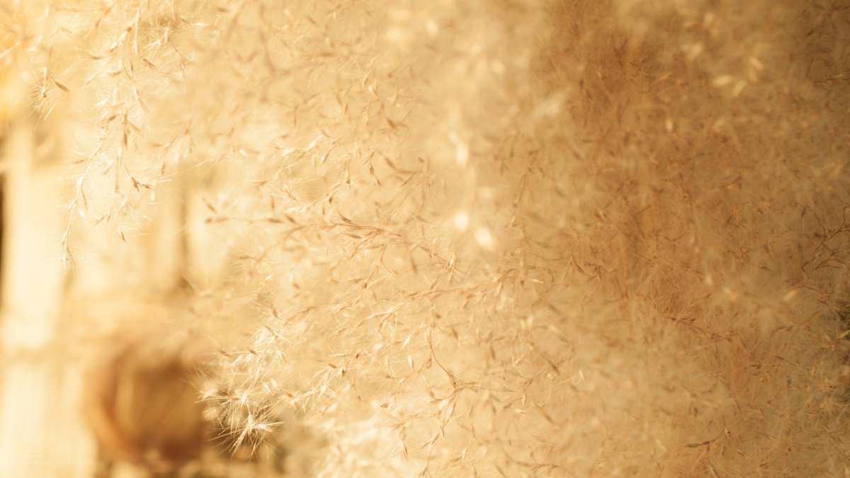 Красивый фон песочного цвета