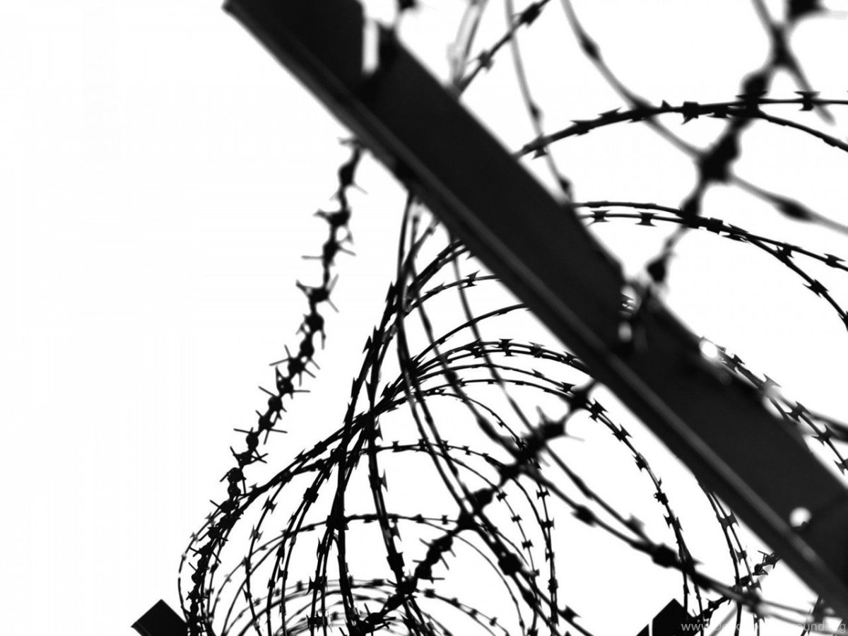 Колючая проволока фон