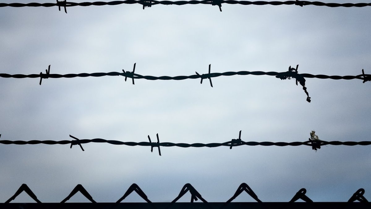 Американская колючая проволока