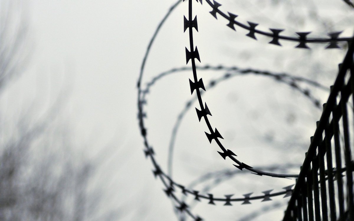 Колючая проволока обои