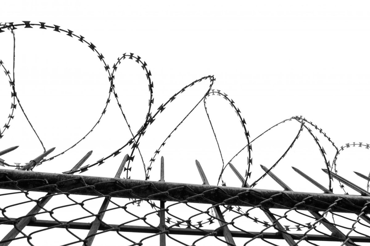 Колючая проволока Военная