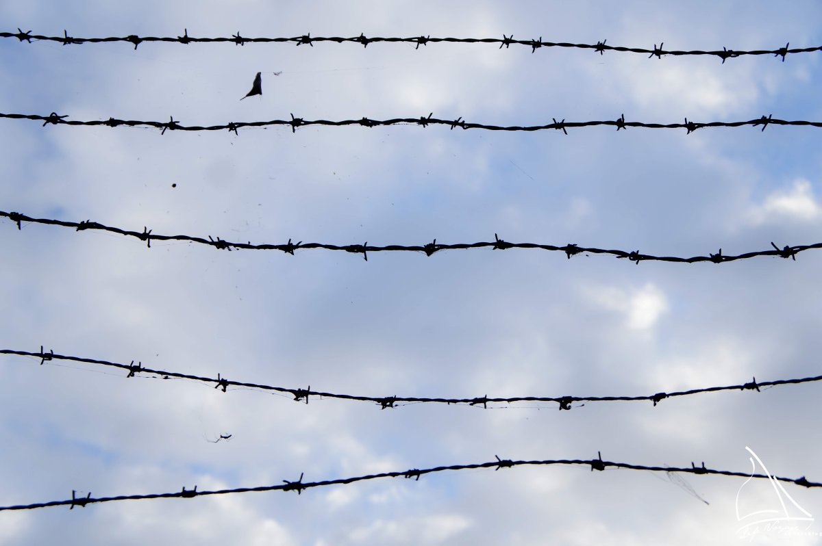 Колючая проволока текстура