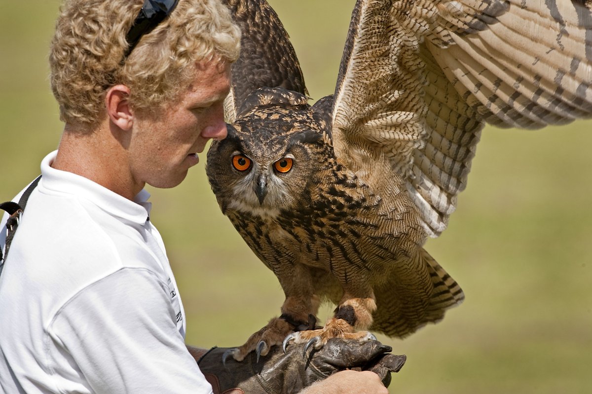 Филипп Сова