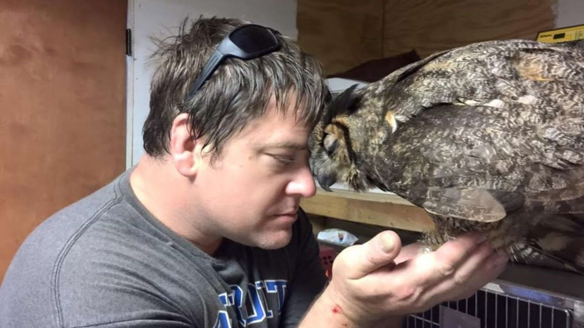 Человек Сова