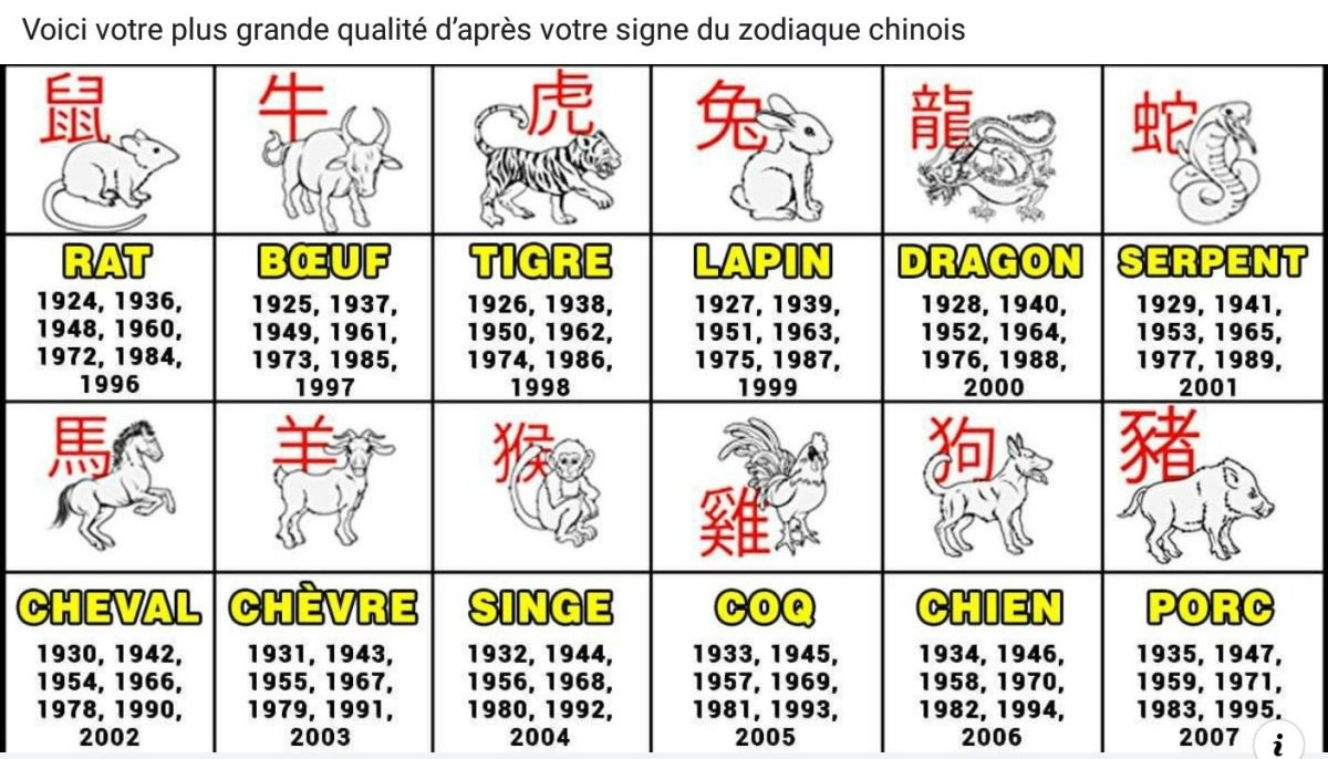 Крыса петух