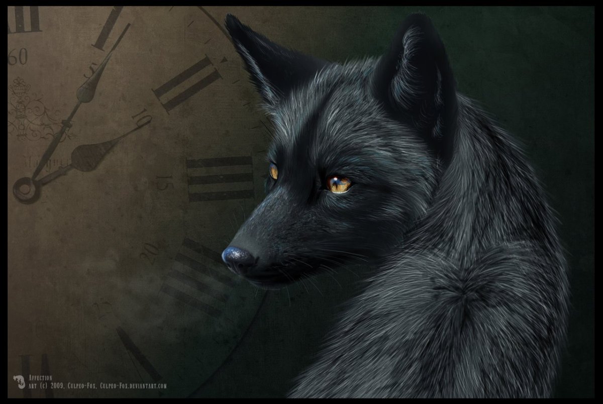 Черная лиса