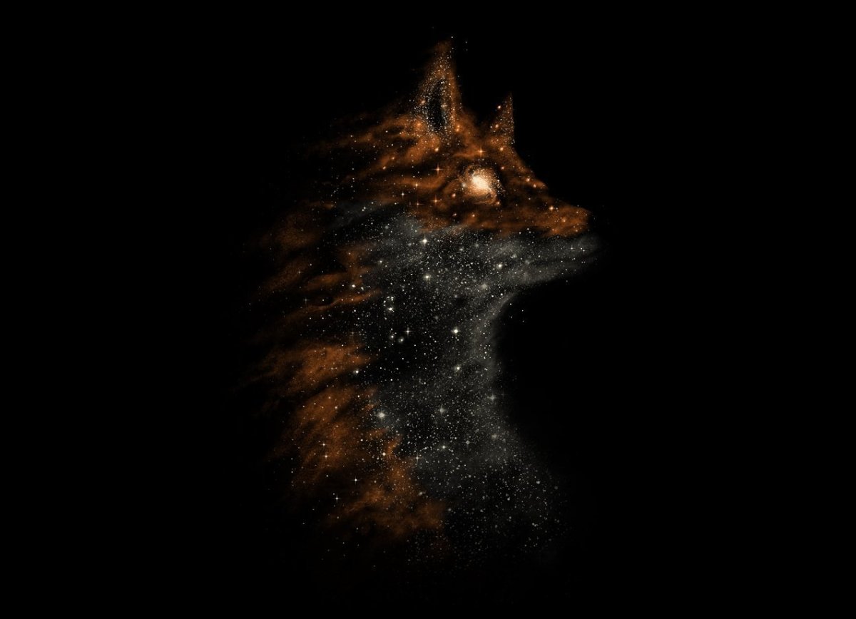 Лисы на темном фоне