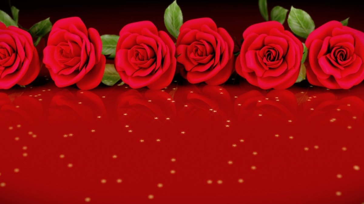 Розы для видеомонтажа