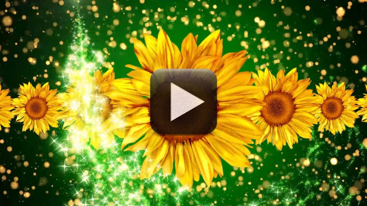 Футажи для видеомонтажа