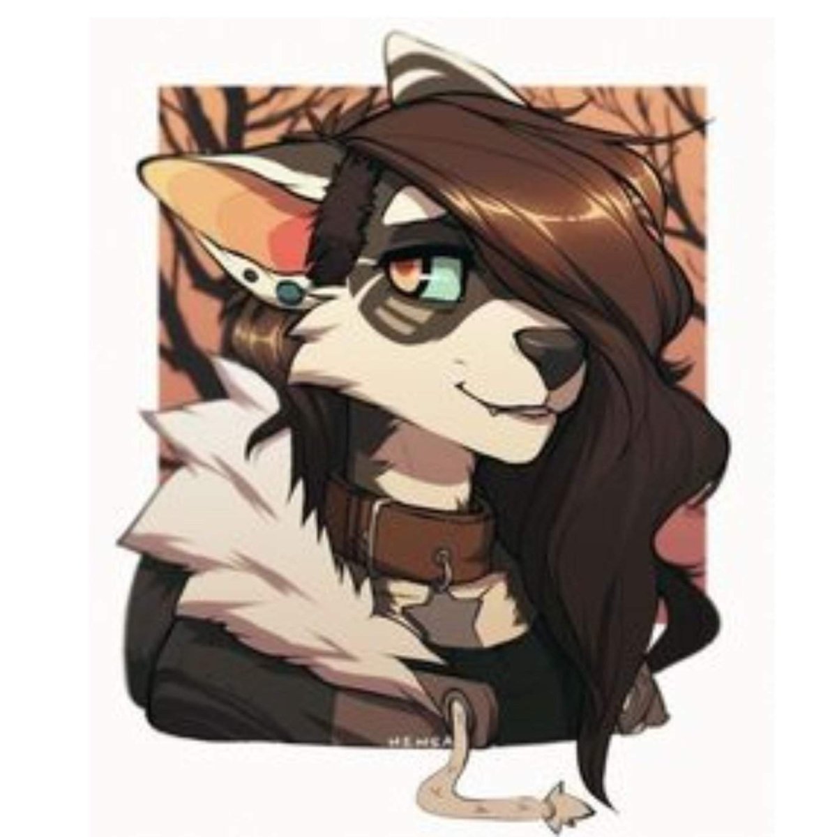 Фурри Блаир