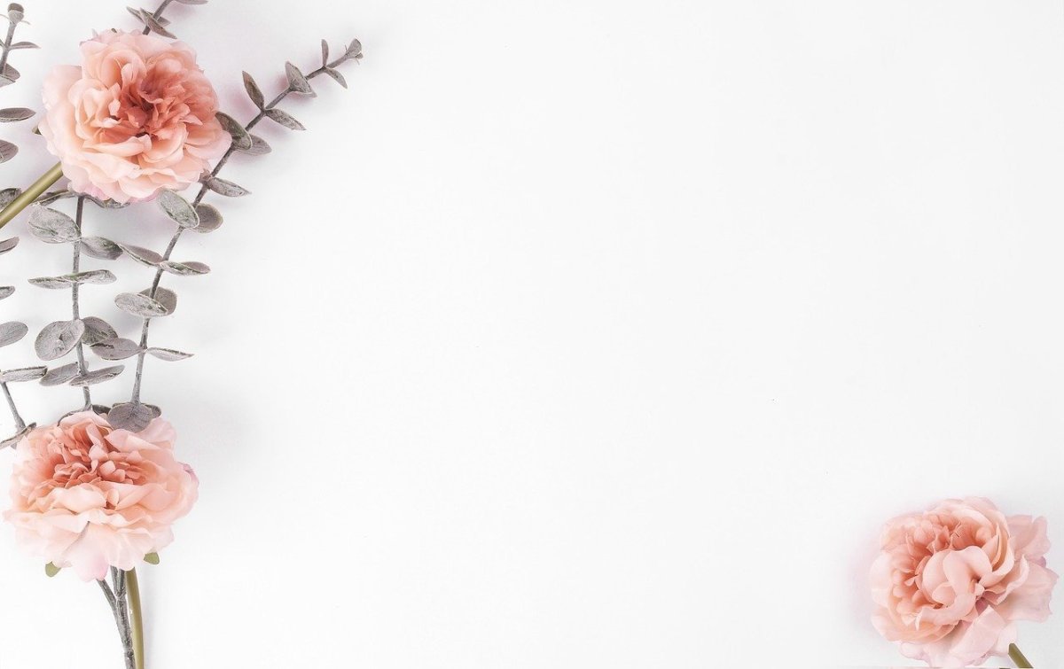 Нежный цветок