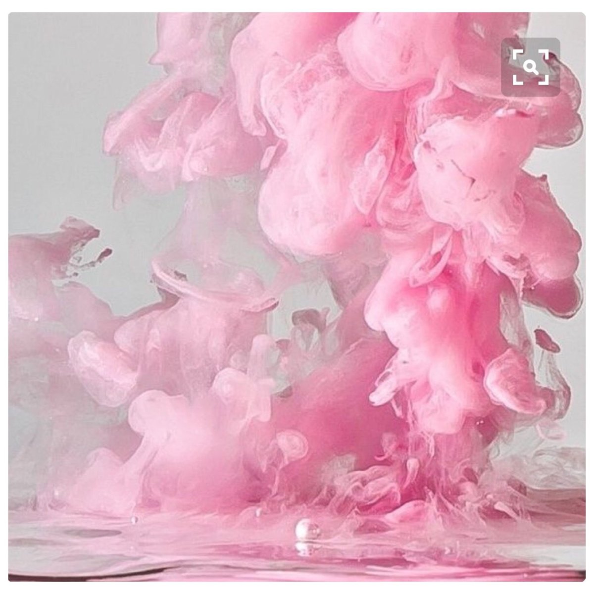 Пудровые цветы пионы