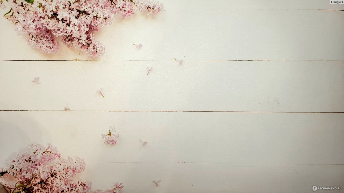 Цветы Эстетика Минимализм