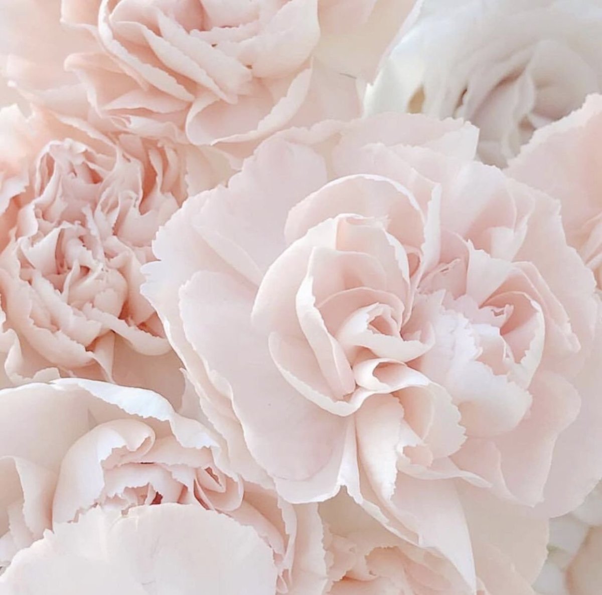 Эстетика розового цвета