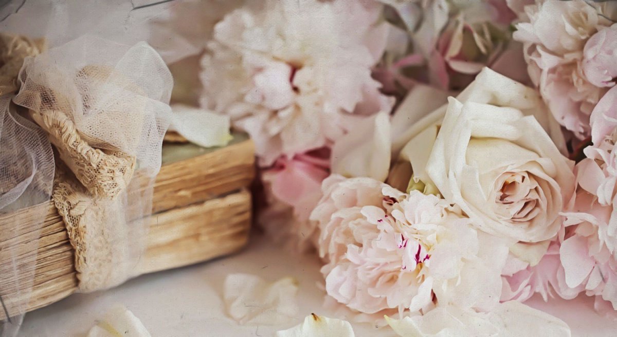 Красивые перья фон для сторис