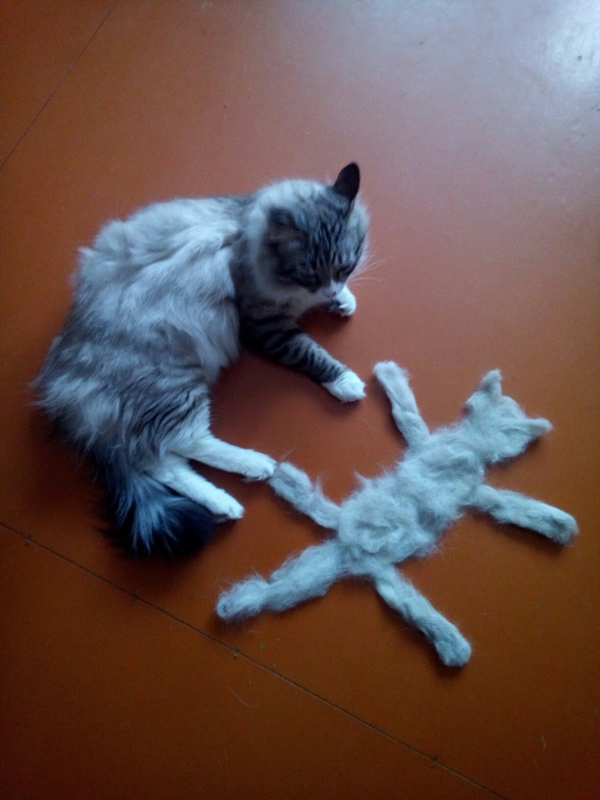 Сиамский котенок валяный