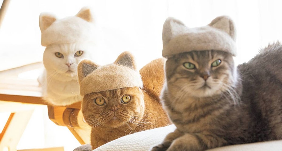 Шапочка из кошачьей шерсти