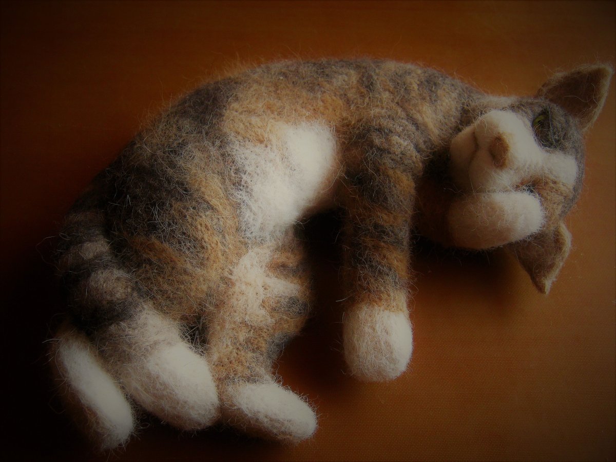 Кот в носке