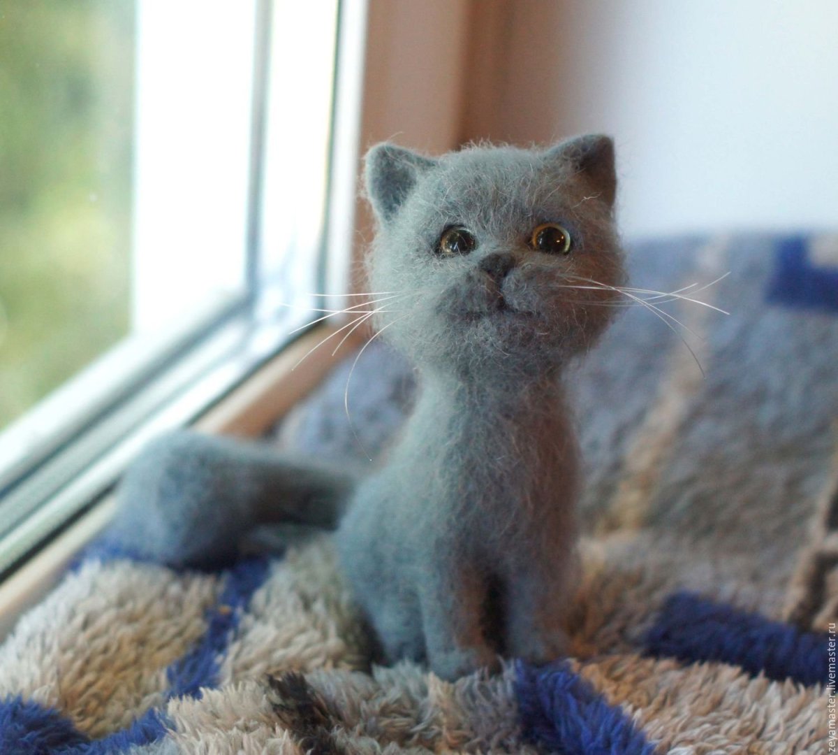 Валяние Персидского кота