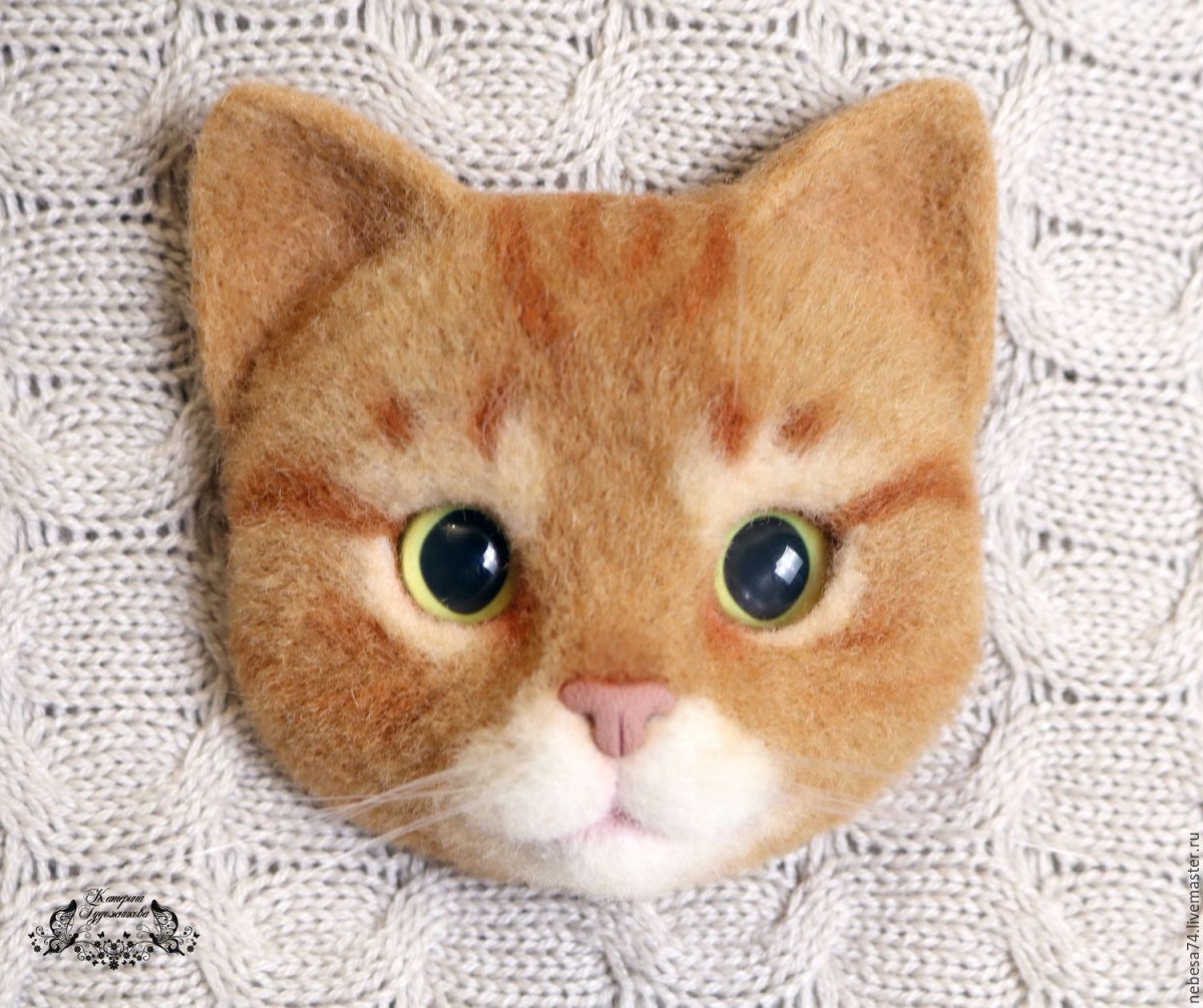 Валяние мордочки кота