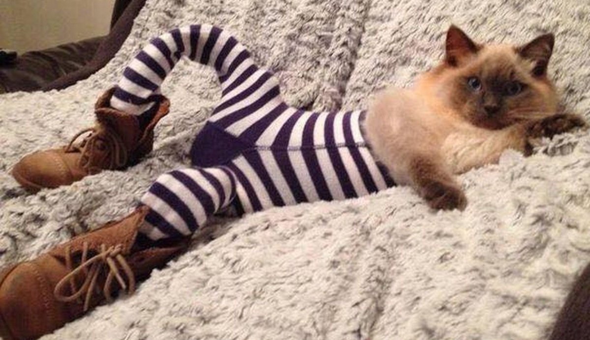 Ксения Мороз шерстяная акварель