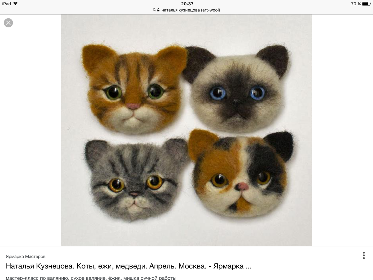 Сиамский Рэгдолл