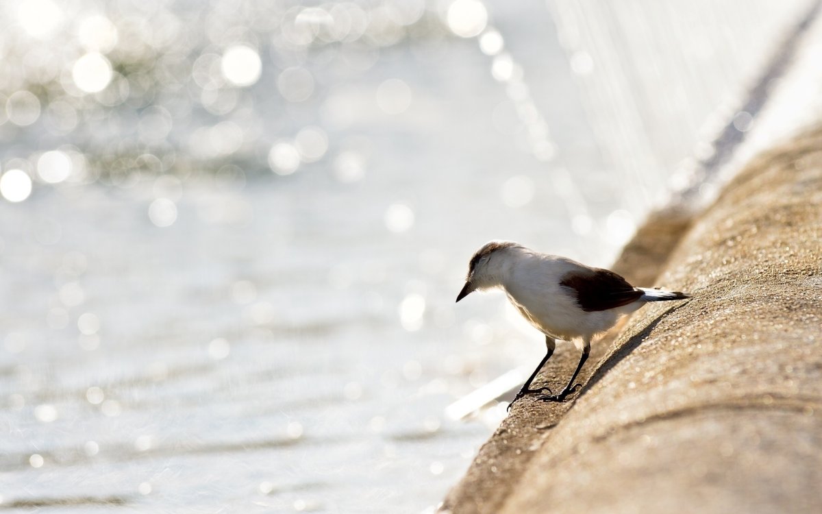 Рабочий стол Минимализм