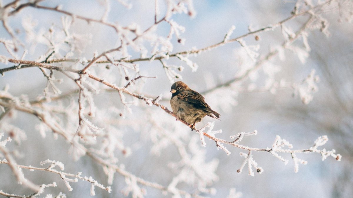 Ebisu Minami землетрясение