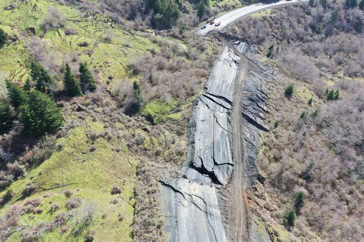 Птица с боку картинка